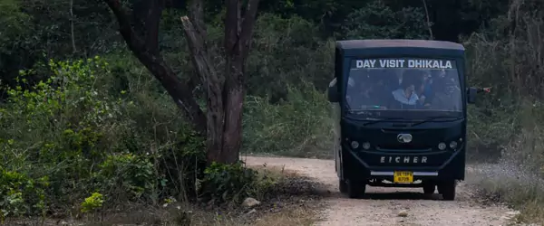 canter safari dhikala