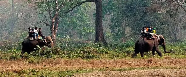 elephant safari booking