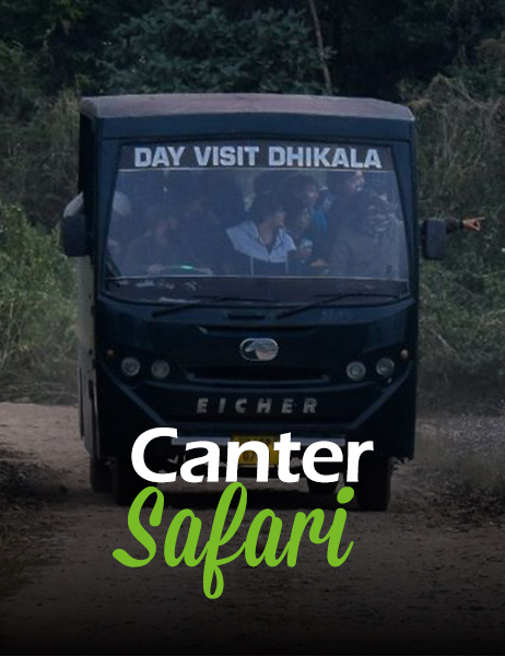 Canter Safari