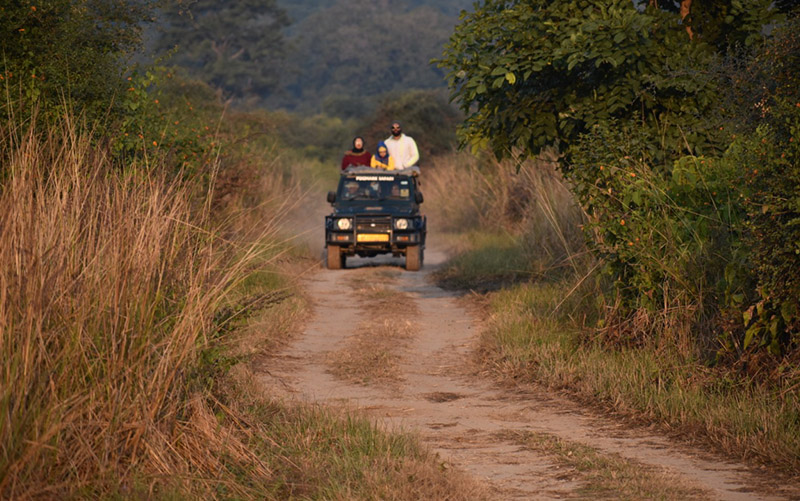 Dhikala Zone Jim Corbett, Best Safari Zone in jim Corbett