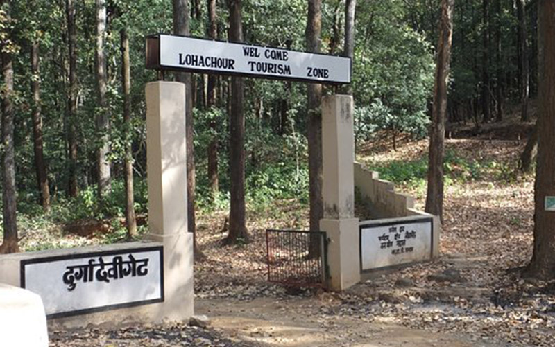 Dhikala Zone Jim Corbett, Best Safari Zone in jim Corbett