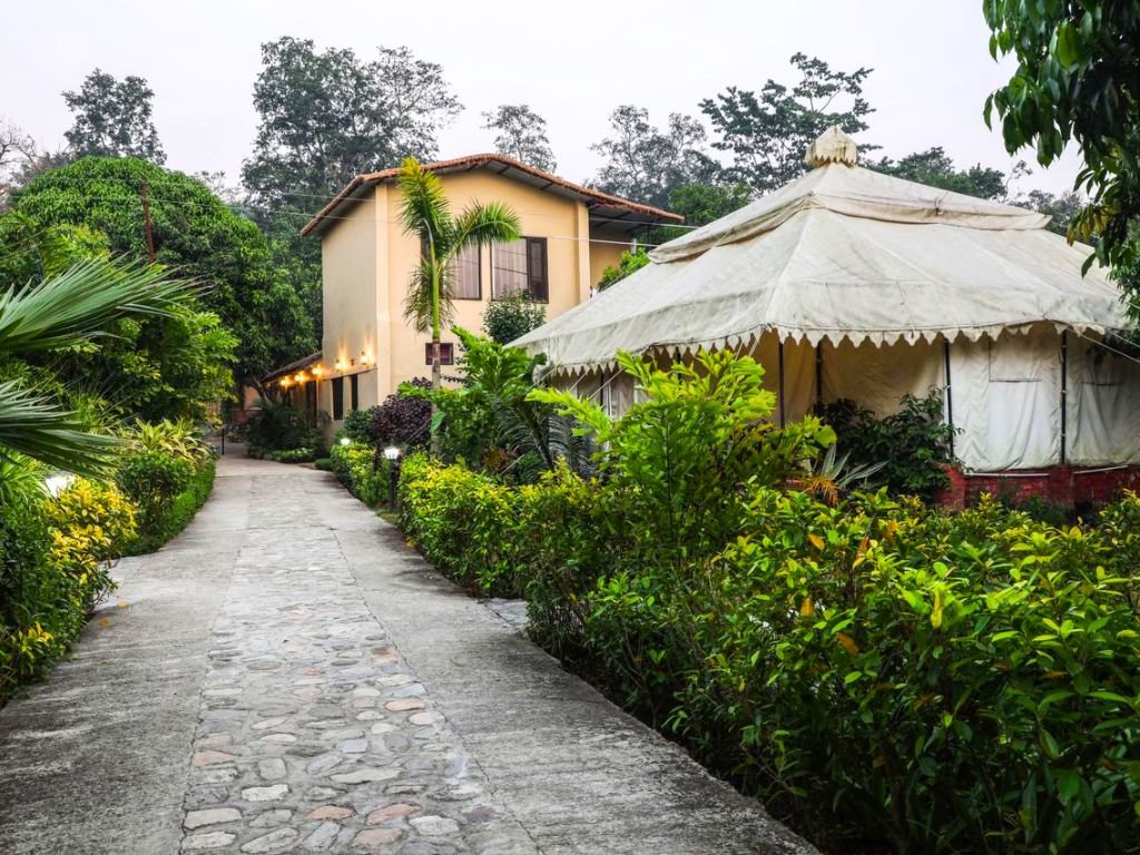 Corbett Tiger And Trees Resort