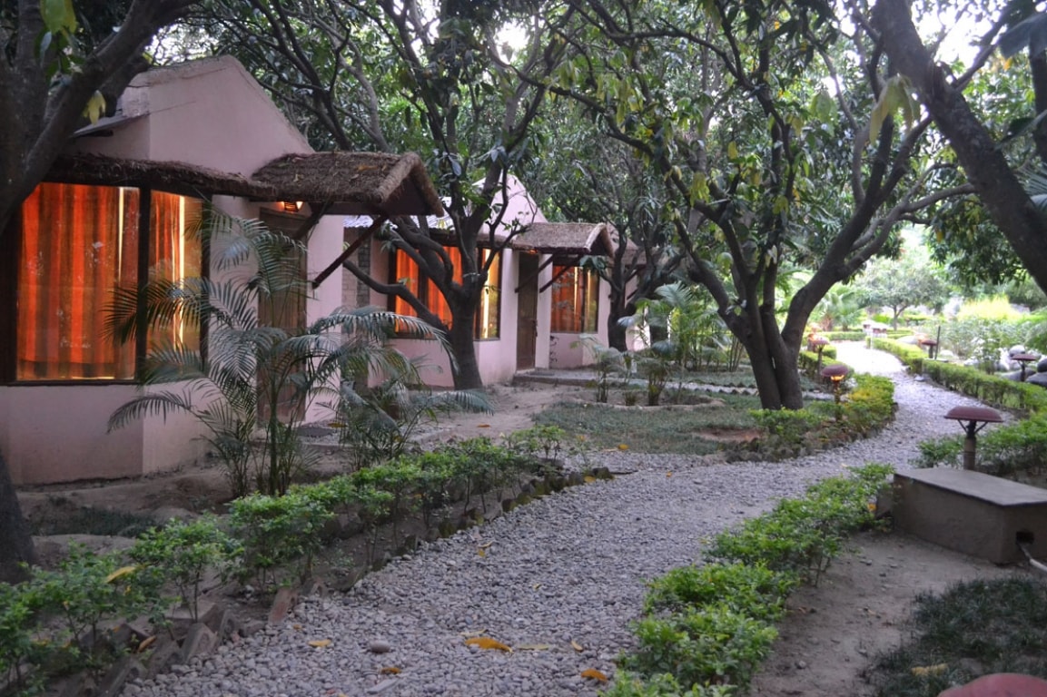 Corbett Wild Resort Is Located In Corbett National Park Deals Tariff