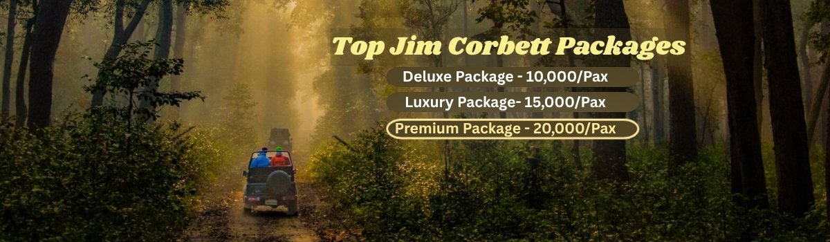 Top Jim Corbett Packages