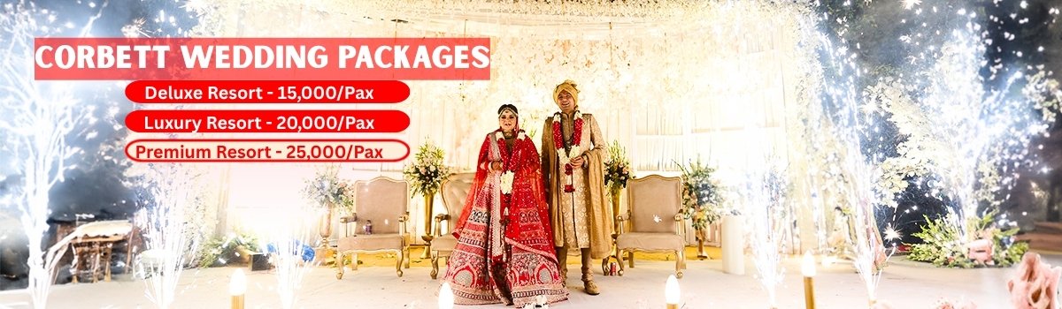 Jim Corbett Wedding Packages