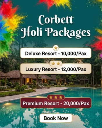 Corbett Holi Packages