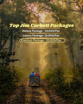 Top Jim Corbett Packages