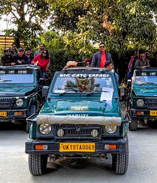 Tiger sighting during a Jim Corbett jungle safari