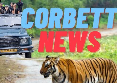 Three poachers were captured from Corbett Tiger Reserve