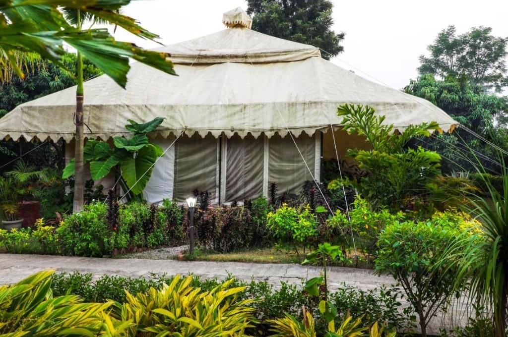 Corbett Tiger And Trees Resort