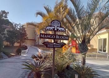 Mango Bloom River Resort New Year Package