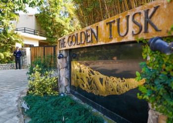 Golden Tusk Resort New Year Package