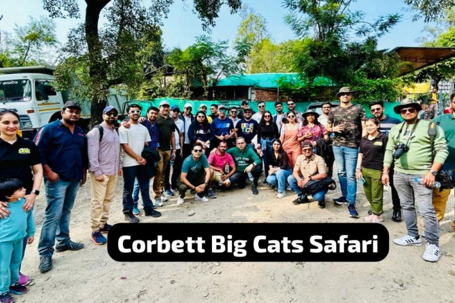corporate group by corbett big cats safari